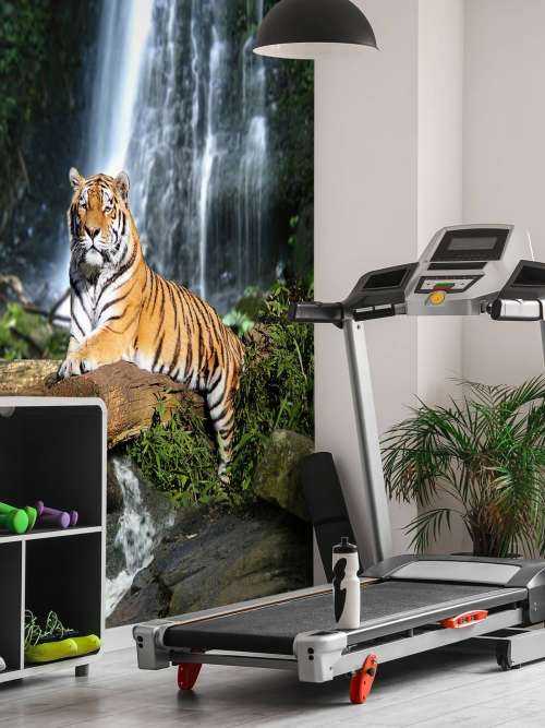 Tiger im Dschungel