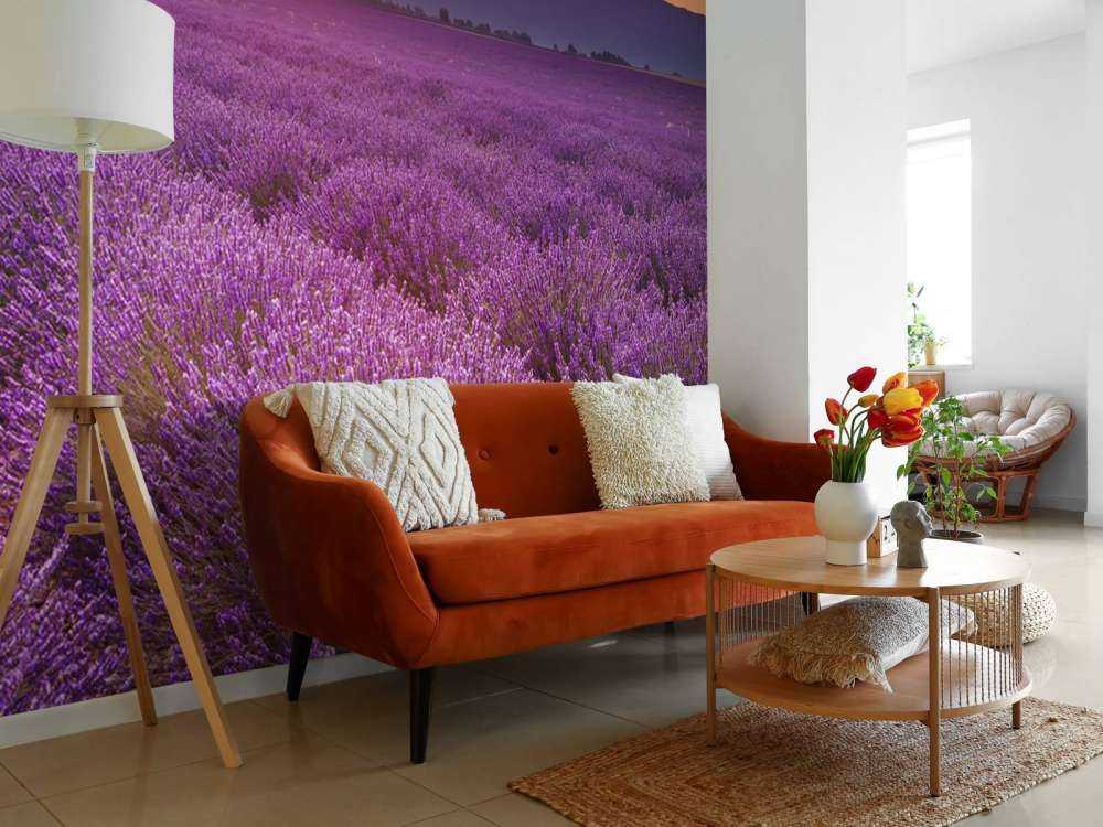 Feld voller Lavendel