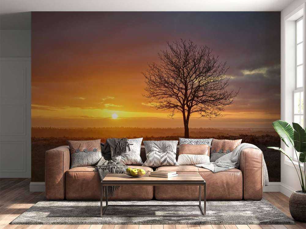 Farbenfroher Sonnenaufgang in der Heide