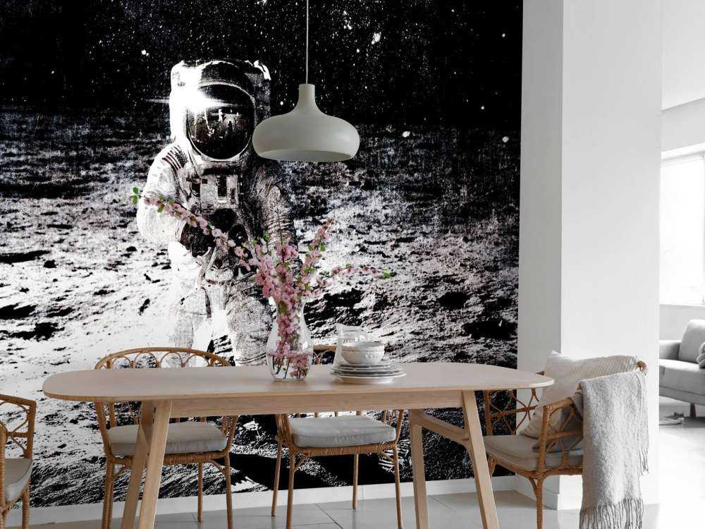 Alter Astronaut