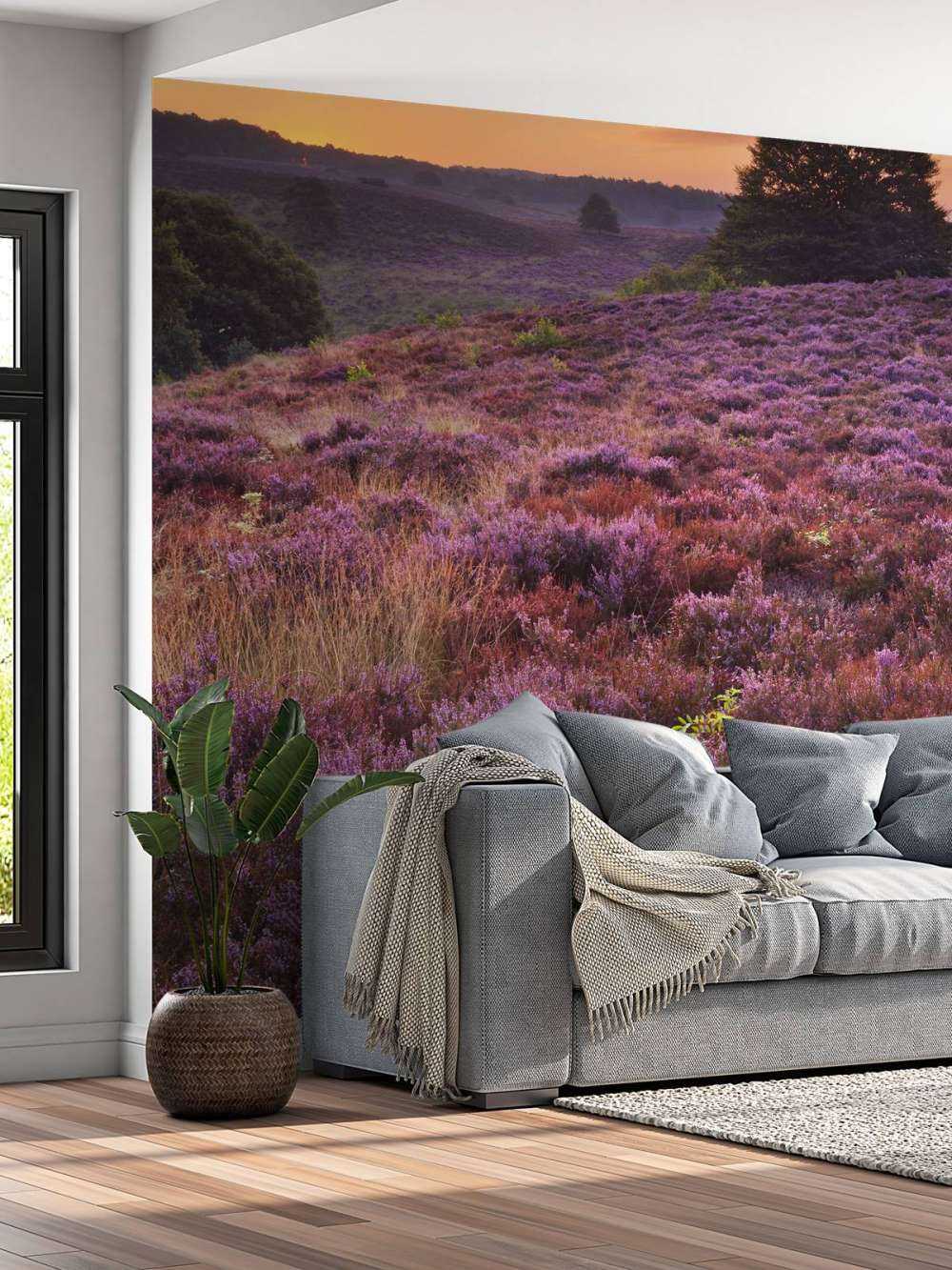 Posbank bei Sonnenuntergang