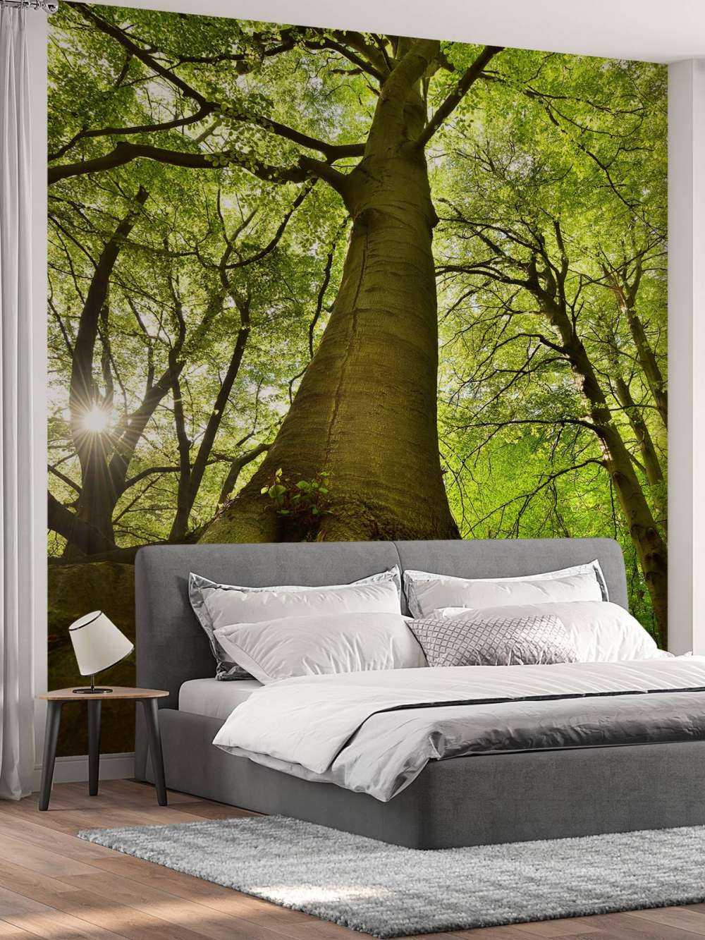 Großer Baum mit Wurzeln