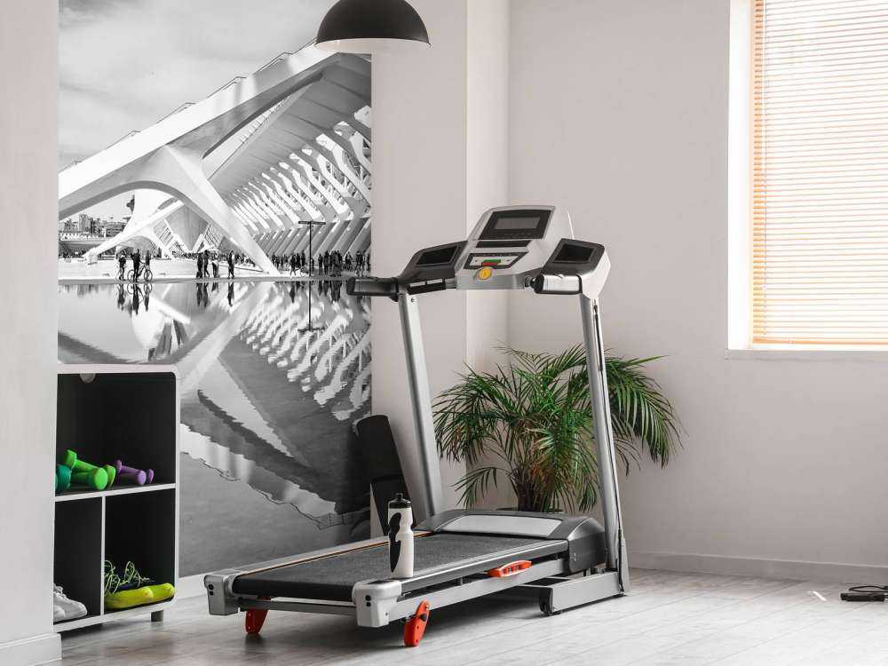 Wissenschaftliches Museum - Museo de Ciencas Principe Felipe - Valencia