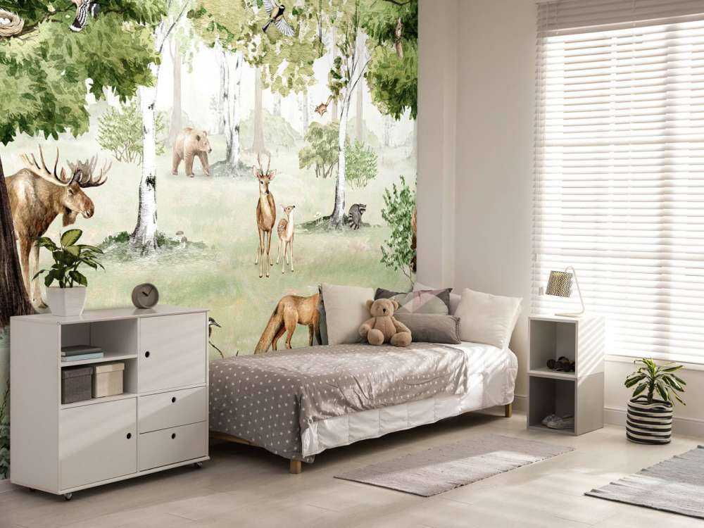 Woodland Wonders