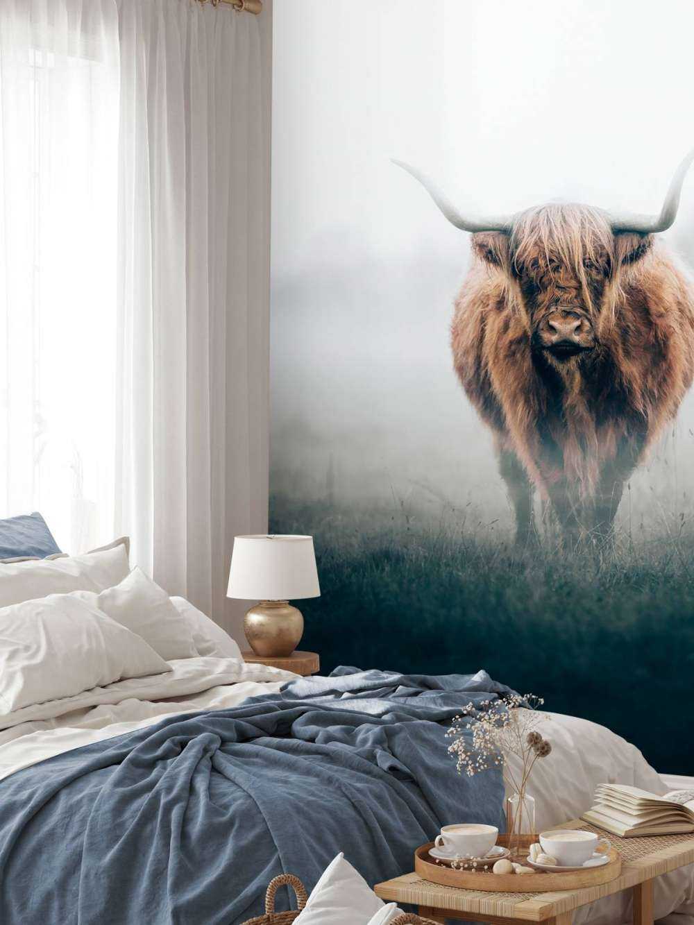 Schottischer Hochländer im dichten Nebel