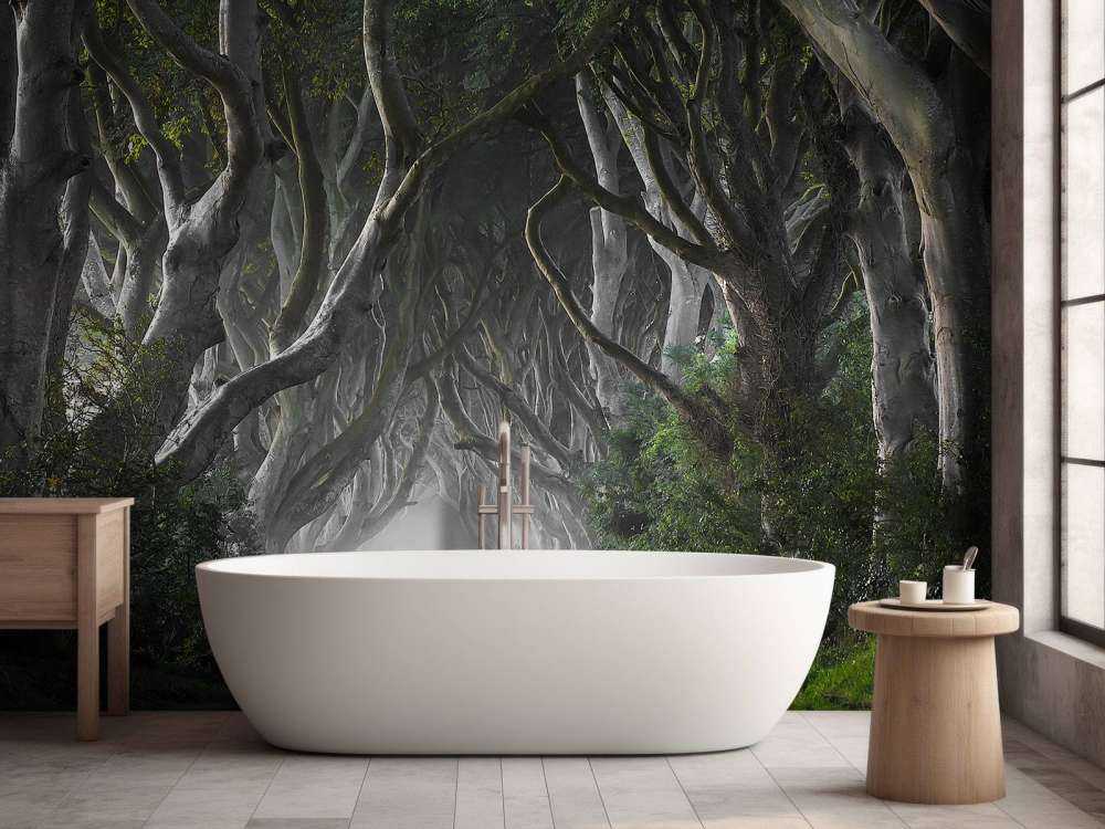 Dark Hedges