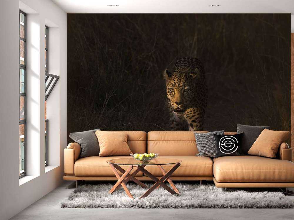 Leopard mit Sonnenuntergang