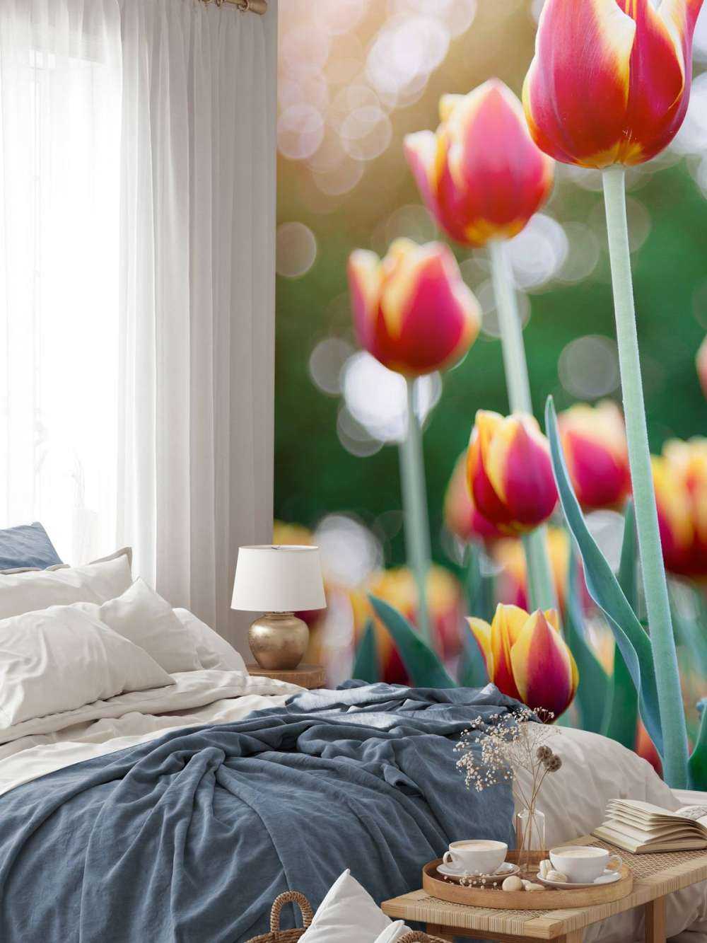 Rot mit gelben Tulpen