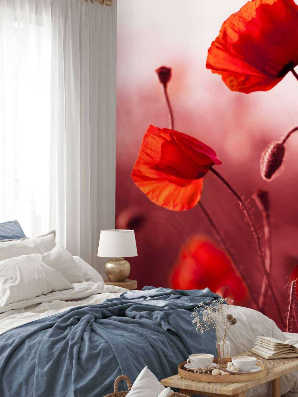 Mohn auf der Wiese