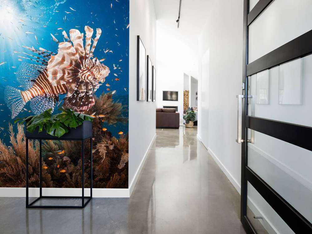 Lionfish