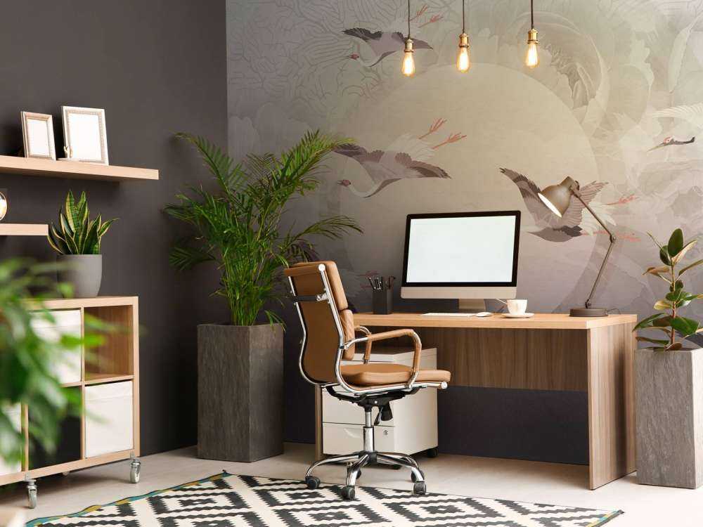 Serenity 6