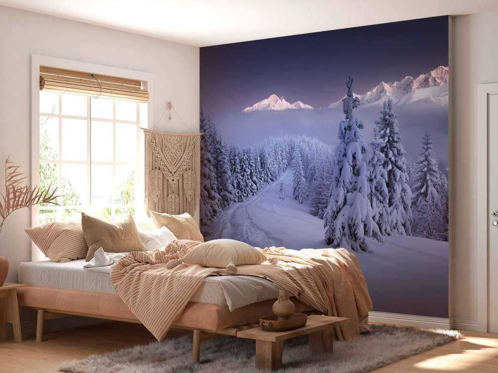 In the Winter