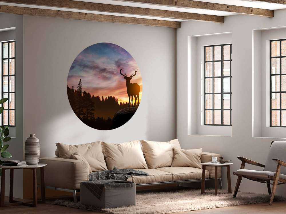 Hirsch mit Sonnenuntergang