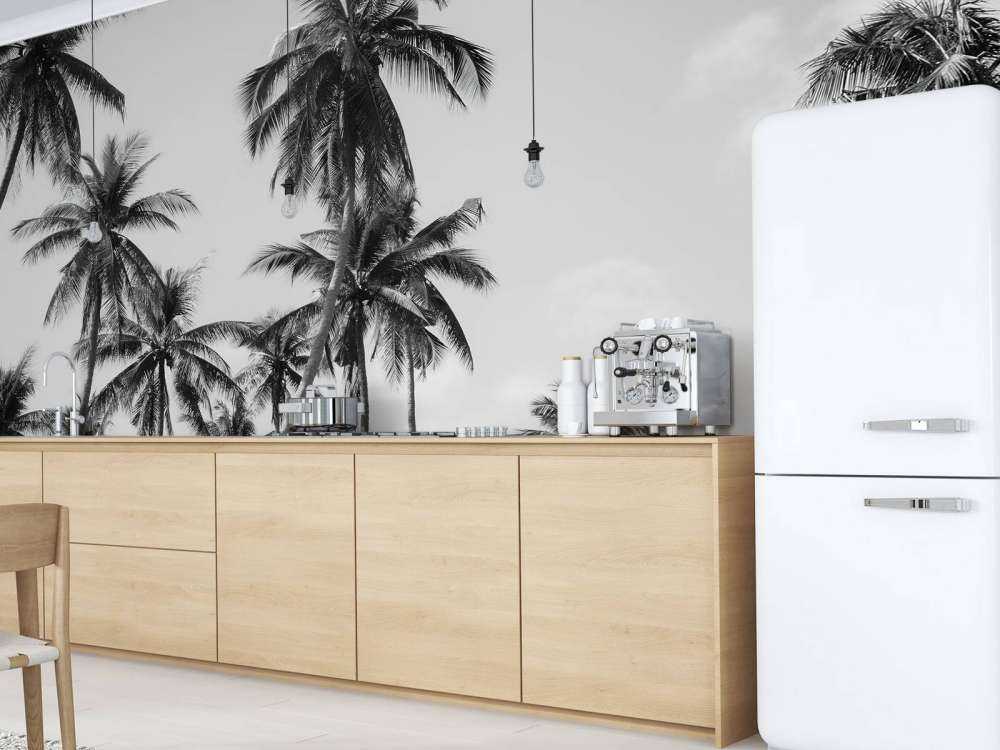 Palmen in Schwarz und Weiß