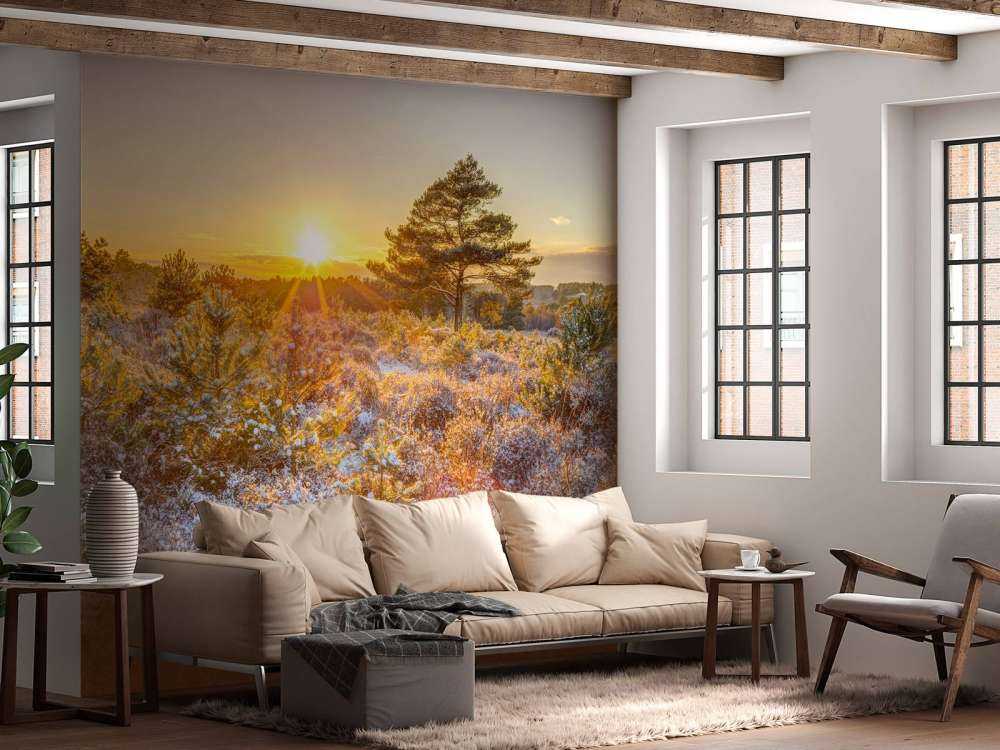 Winter Sonnenuntergang