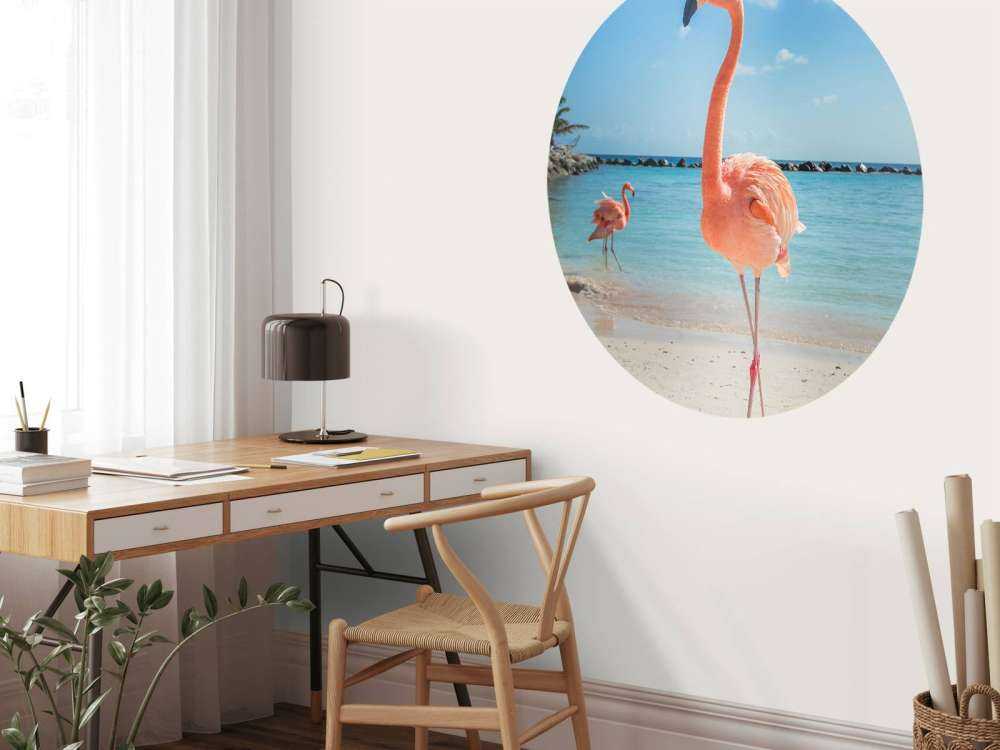 Flamingo am Strand