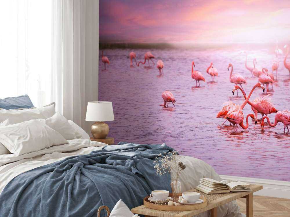 Flamingo mit Sonnenuntergang