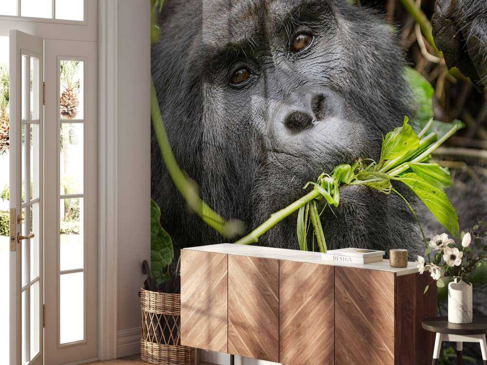 Gorilla zwischen den Ästen