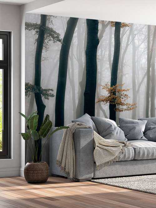 Nebel im Buchenwald