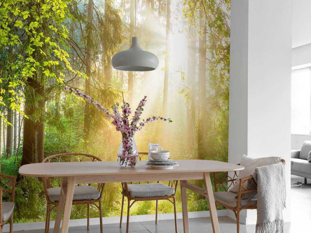 Waldlandschaft bei Sonnenaufgang