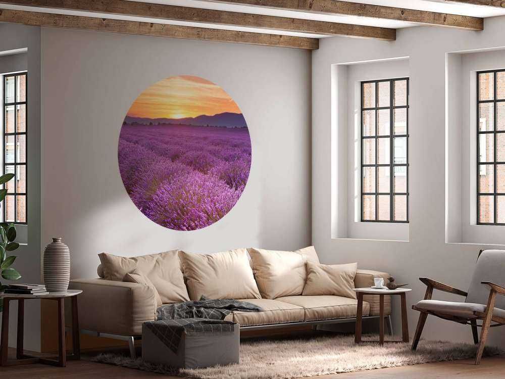 Feld voller Lavendel