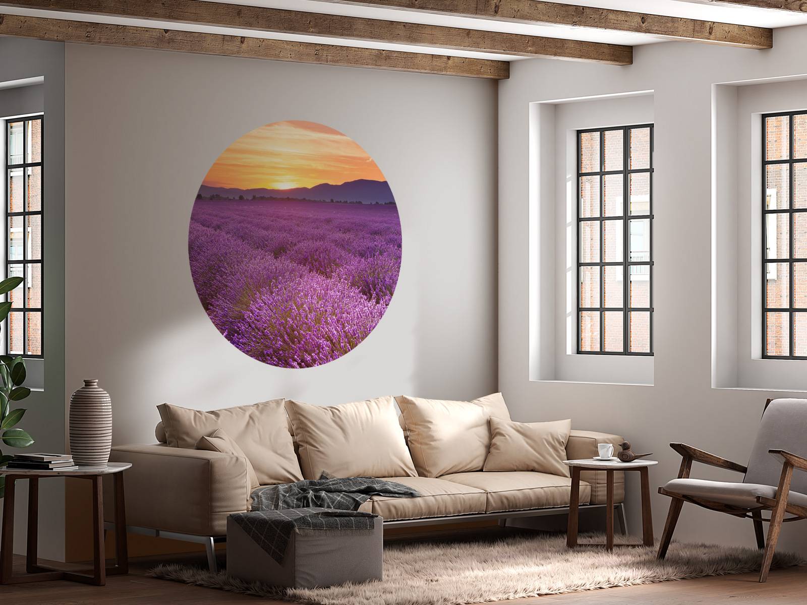 Feld voller Lavendel