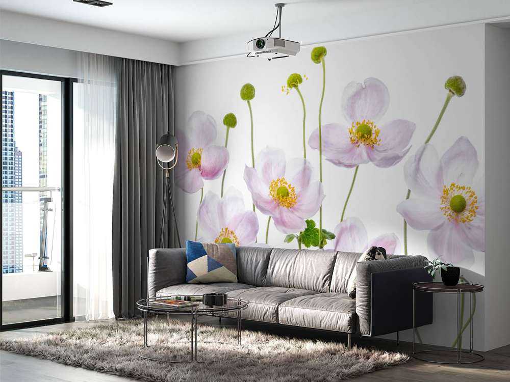 Japanese Anemones