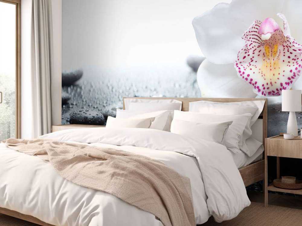 Weiße Orchidee auf Fototapete
