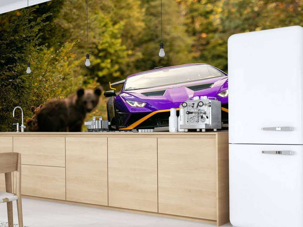 Lamborghini vs. Wildnis