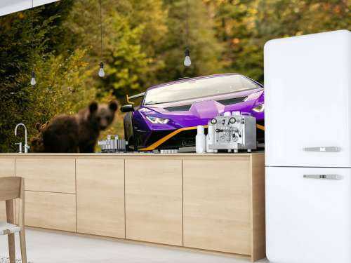 Lamborghini vs. Wildnis