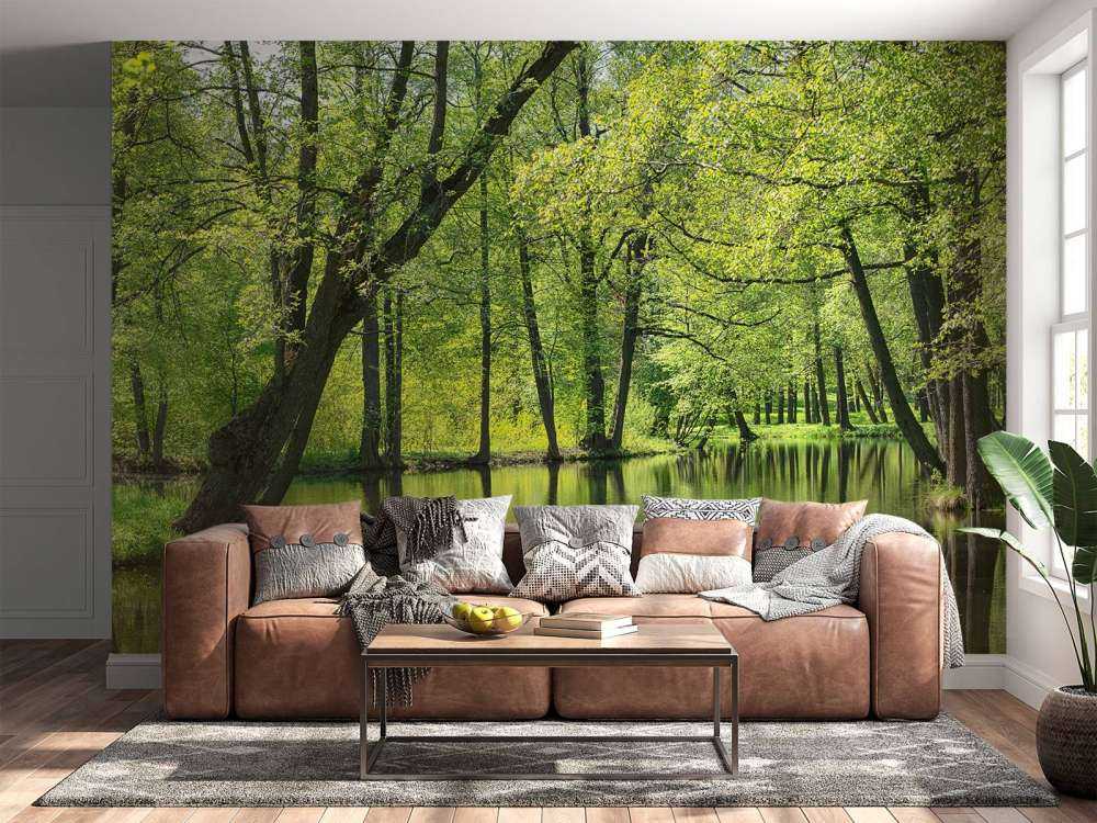 Sommerlandschaft