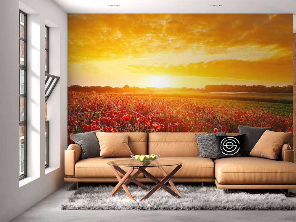 Mohnblumen und Sonnenuntergang