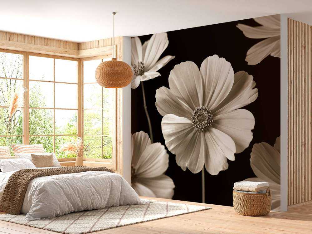 Mehrere Cosmos-Blüten