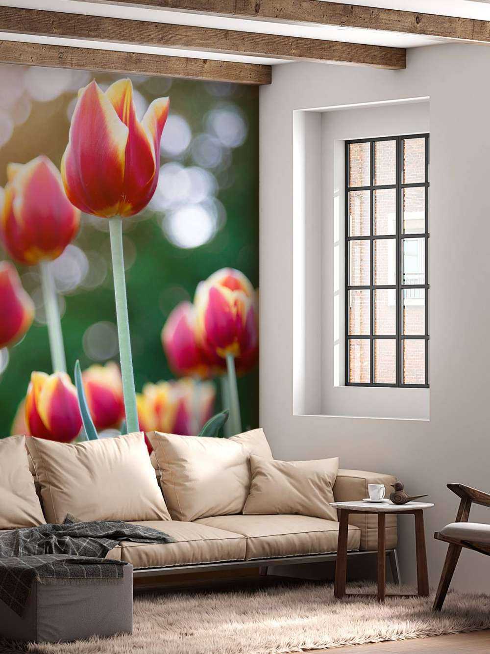 Rot mit gelben Tulpen