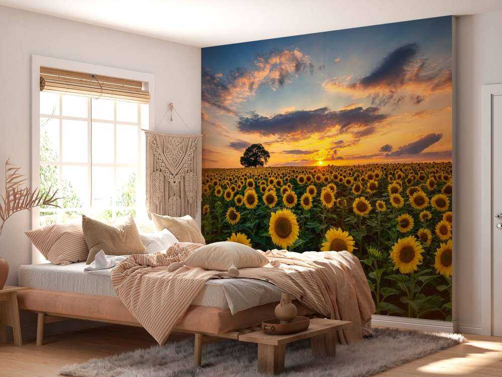 Feld voller Sonnenblumen