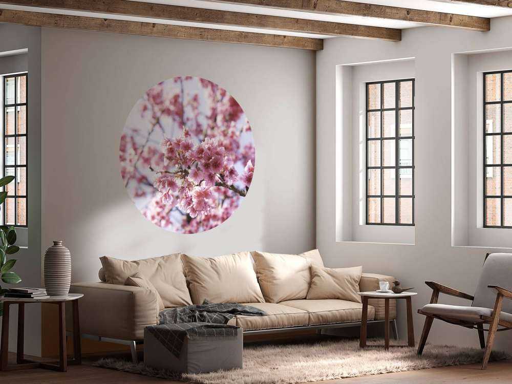 Nahaufnahme der rosa Blüte