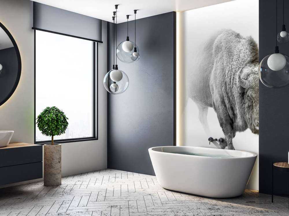 Bison schwarz, weiß