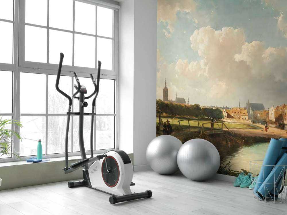 Blick auf Den Haag vom Delfter Kanal aus dem 17. Jahrhundert