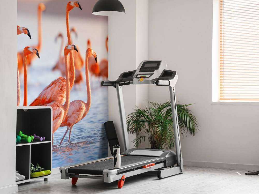 Glotzende Flamingos