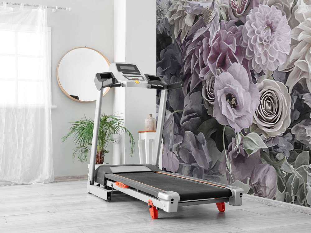 Hortensie Eleganz
