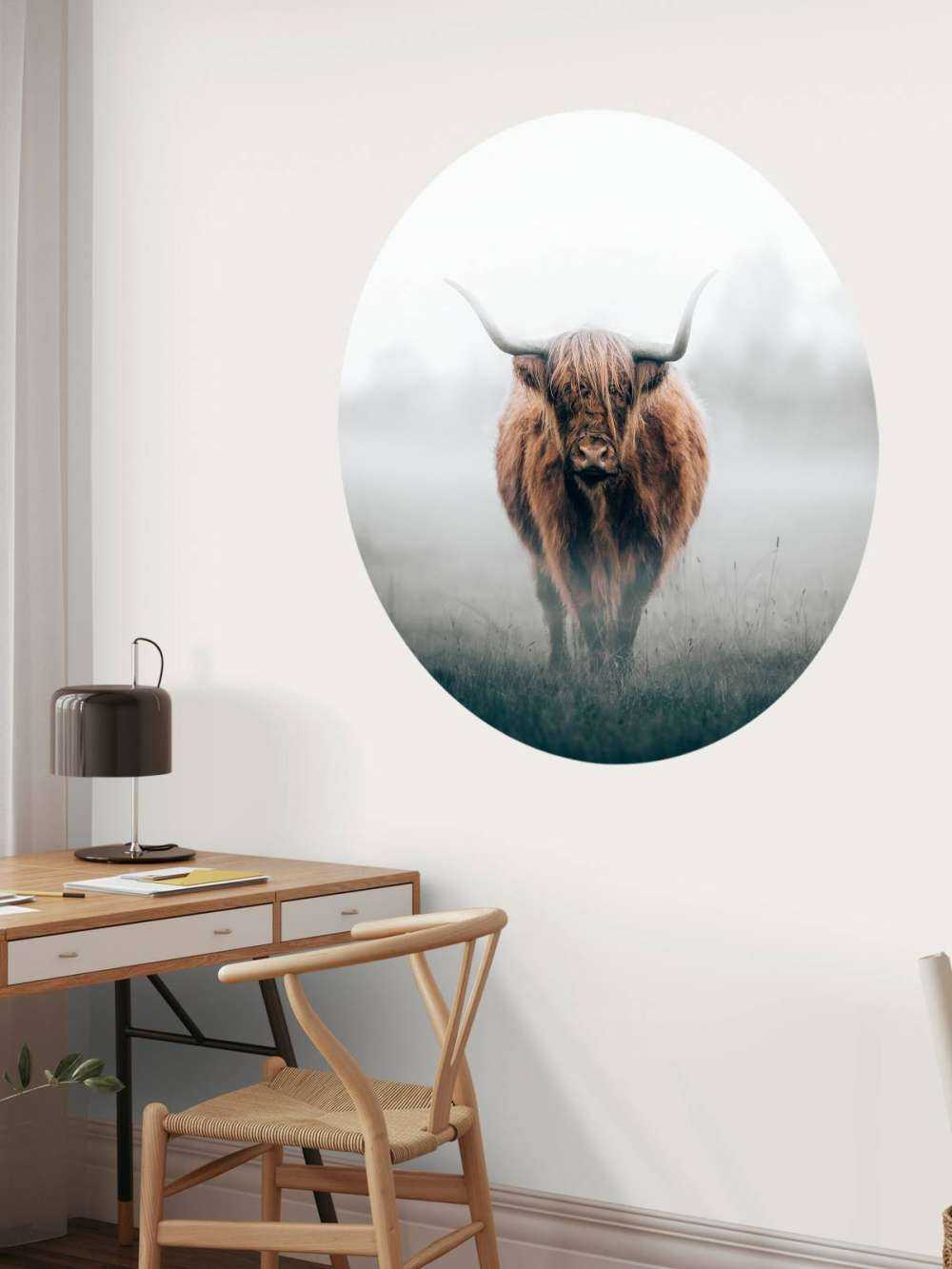 Schottischer Hochländer im dichten Nebel