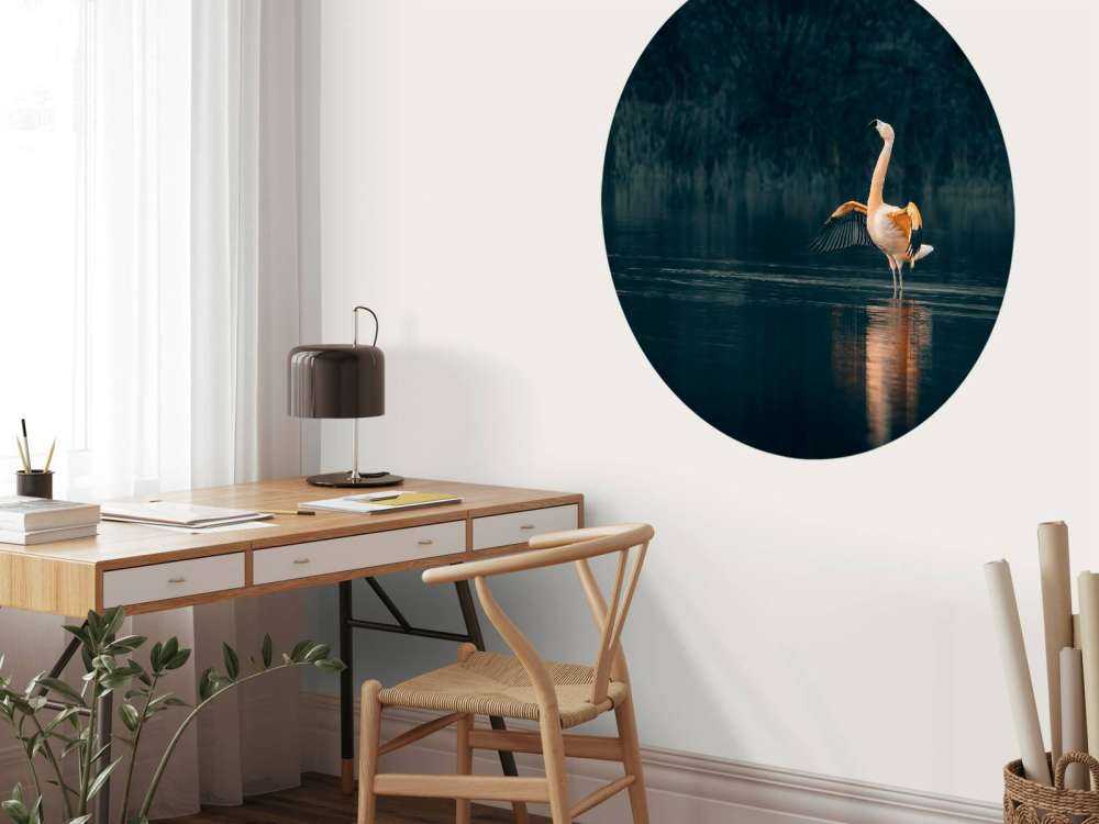 Flamingo in verlassenem See
