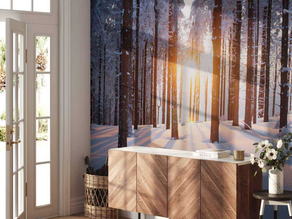 Sonnenuntergang in einem Winterwald
