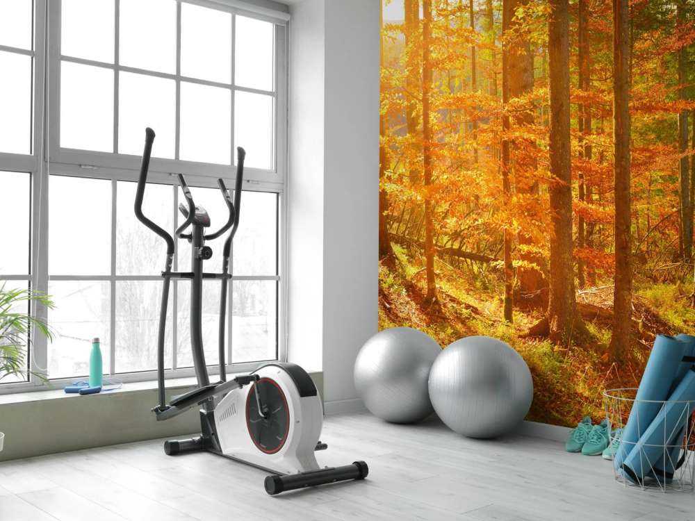 Herbst Wald