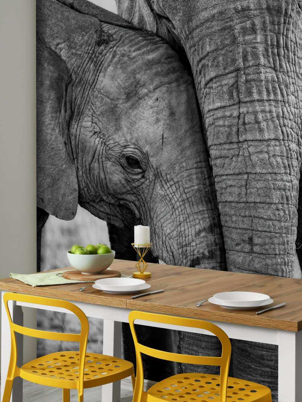 Kuschelnde Elefanten