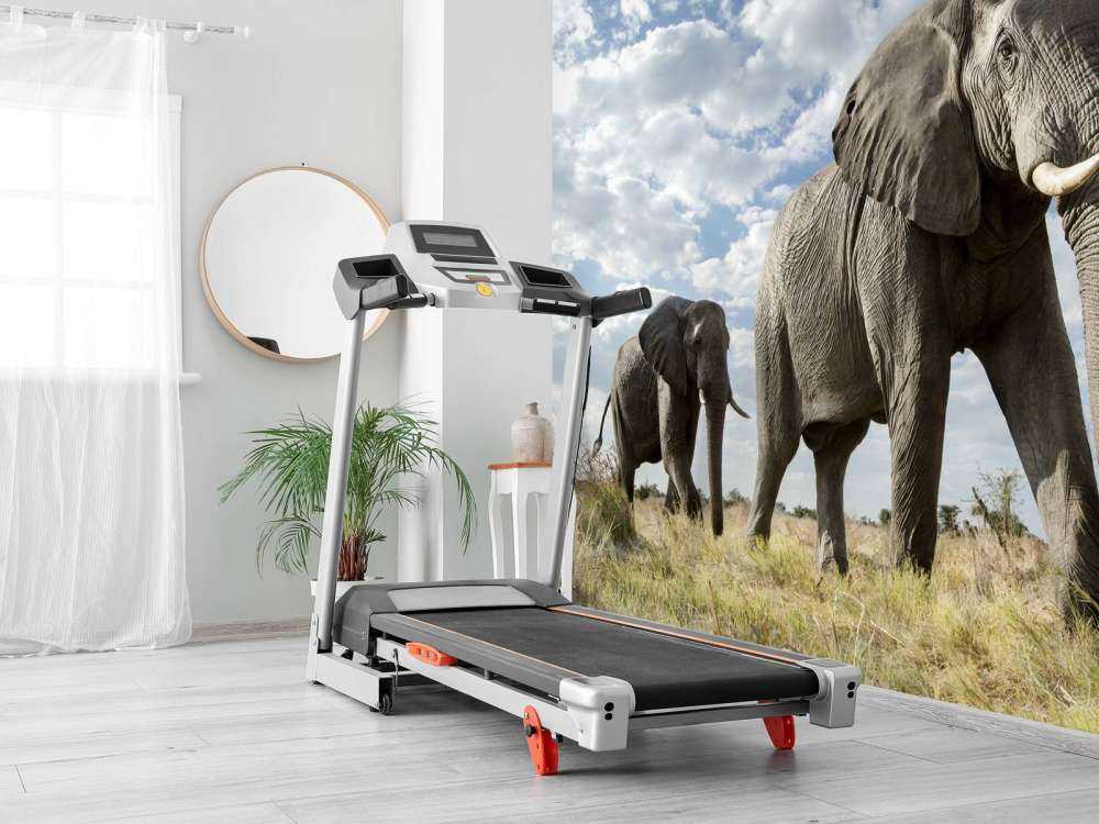 Vorbeiziehende Elefanten