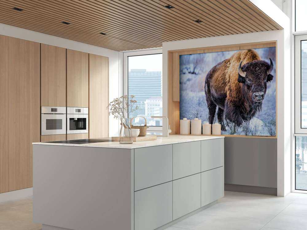 Bison