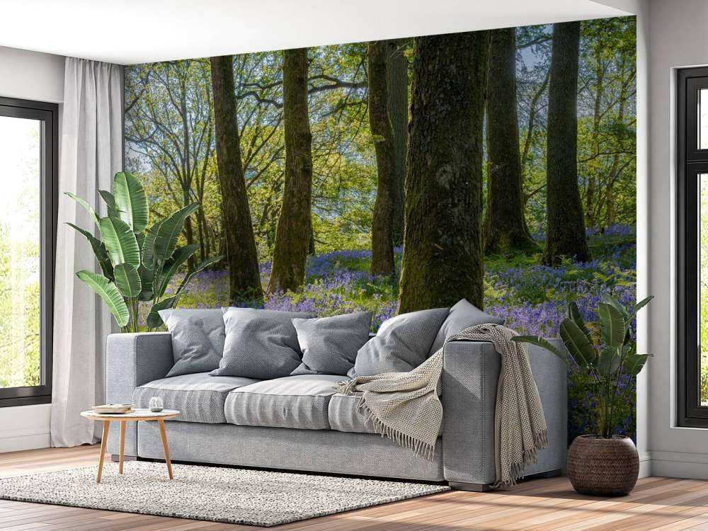 Panorama des Frühlings im Wald