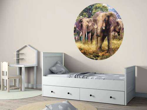 Elephant Faily