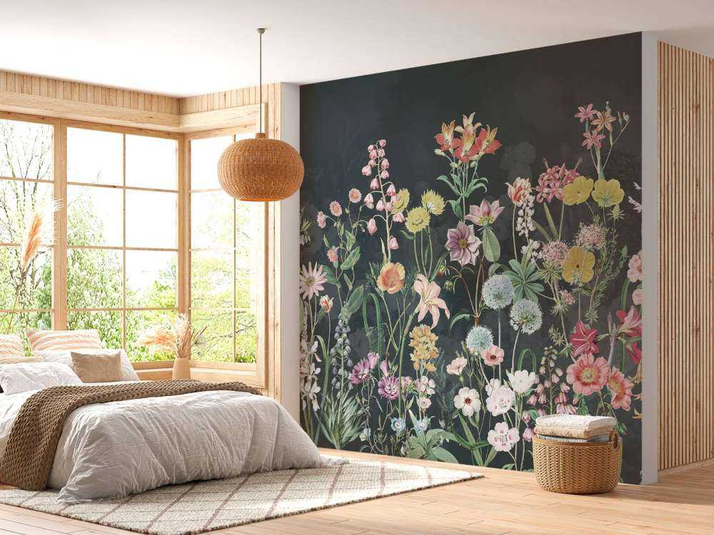 Primula 11